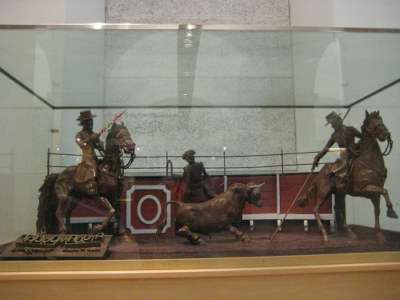 Choc-bullfighting