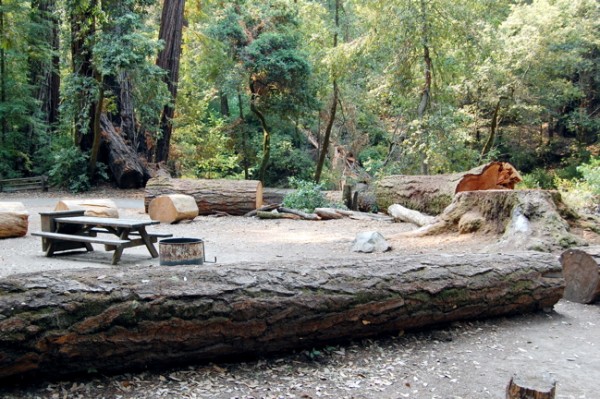 Big Basin Camping Big Basin Redwoods State Park camp site