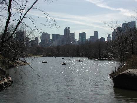 Central Park Attractions