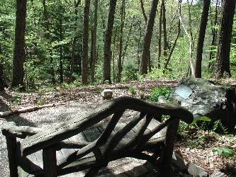 Bench