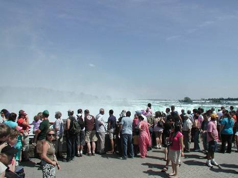 Crowds
