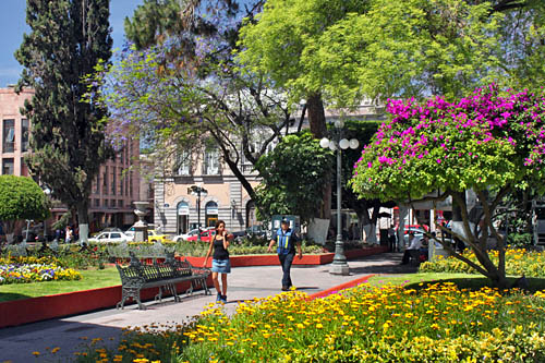 Queretaro-Jardin_Zenea