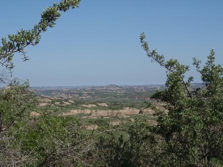 Theodore Roosevelt National Park