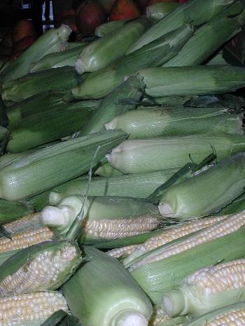Corn