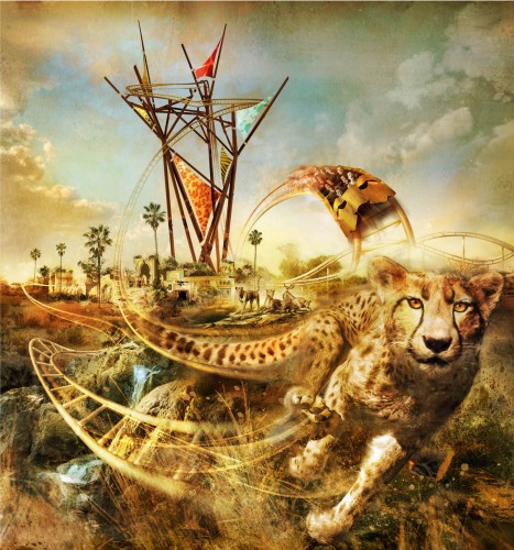 Cheetah+hunt+roller+coaster+busch+gardens