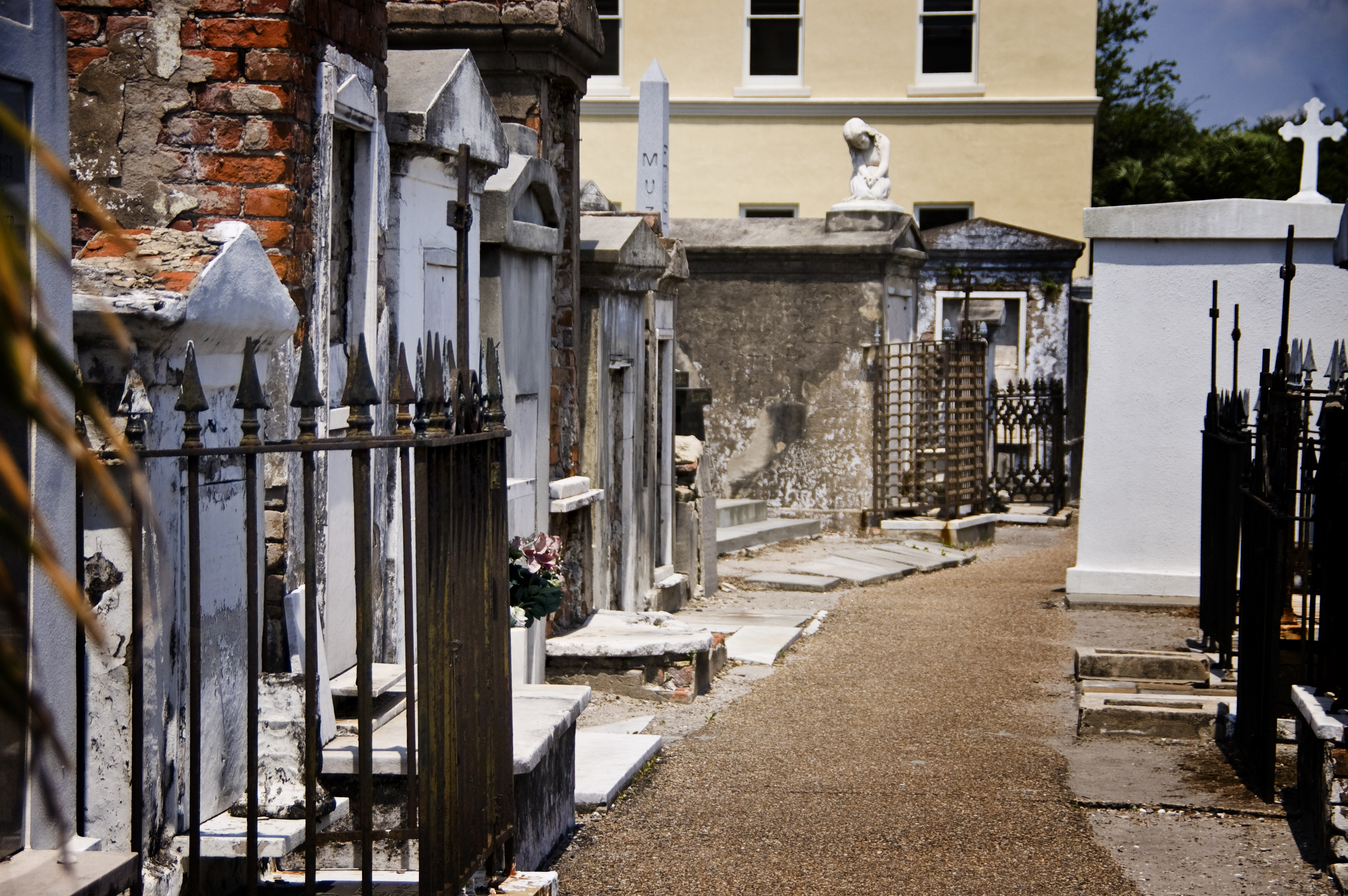 cemetery rows cemetery rows