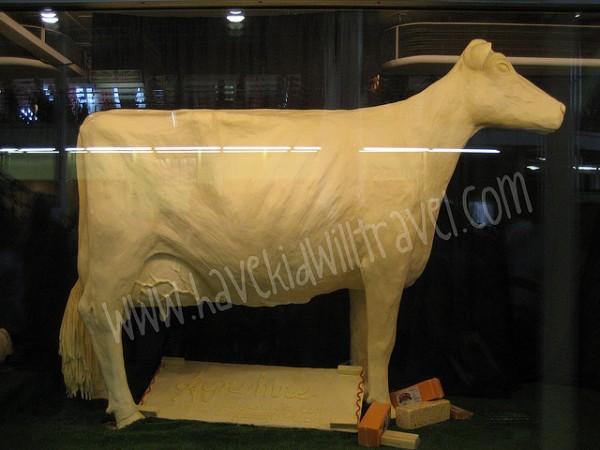Iowa State Fair Butter Cow