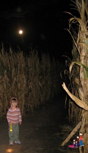 Night Time Corn Maze