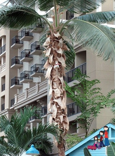 Polar Bear Pursuit at Gaylord Palms Orlando