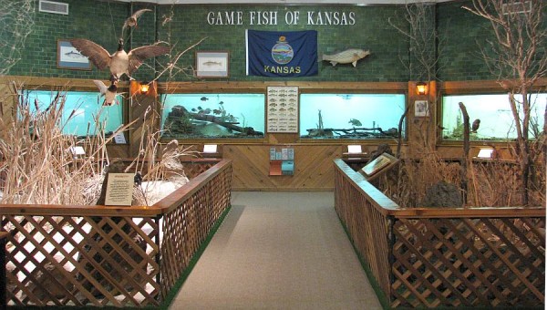 pratt aquarium, kansas