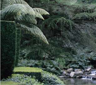Greenery at New Zealand's Huka Lodge