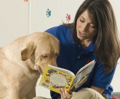 Pet-Hotel-Orlando-Reading