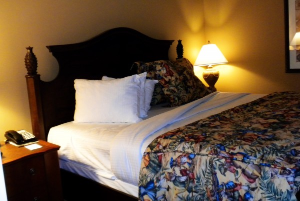 guestroom at gaylord palms resort