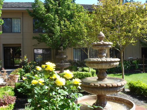 marriott-napa-courtyard