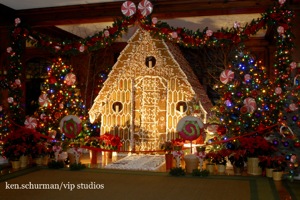 Gingerbread