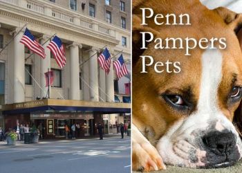 Hotel Penn NYC