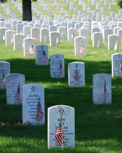 Graves at Arlington, Memorial Day
