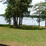 A Basic Guide to Percy Quin State Park in Mississippi