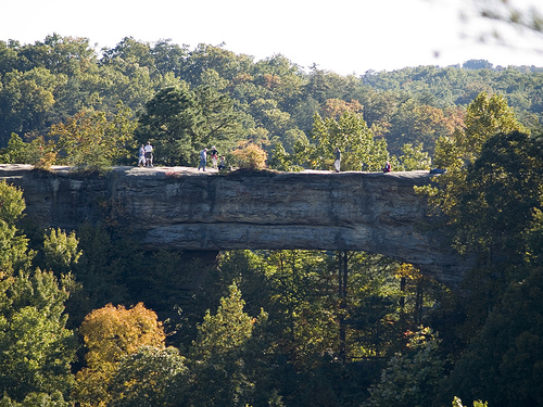natural bridge state park
