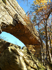 naturalbridgearch