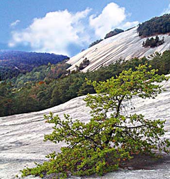 climbing stone mountain