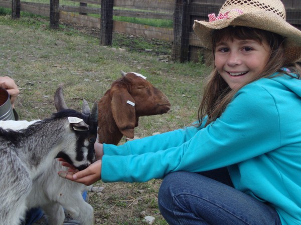 Luxury Travel Writer Nancy D. Brown,feeding goats, Red Horse Mountain Ranch,Harrison, Idaho. all-inclusive dude ranch, south of Spokane, Washington