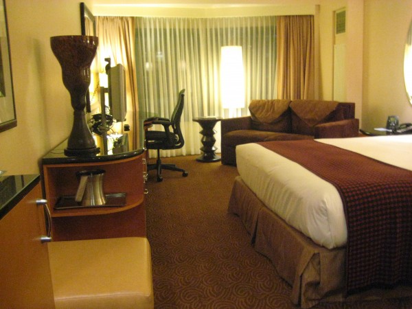 Hilton New York Deluxe King #3311 Hilton New York, Deluxe King, Nancy D. Brown Travel Writer