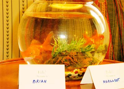 portland-or-monacogoldfish