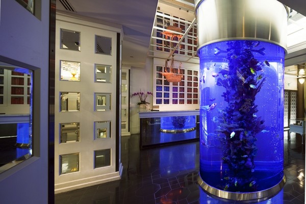 Dream Lobby NY column converted into an aquarium, dream lobby, new york, Nancy D. Brown, travel