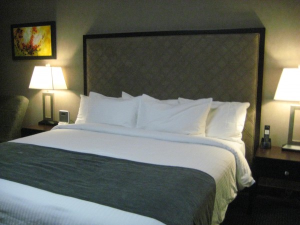 Acclaim Acclaim hotel, calgary, alberta, lodging, Nancy D. Brown