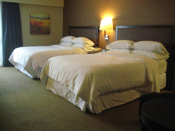 Sheraton Uptown, Albuquerque, New Mexico, Nancy D. Brown, lodging, hotel