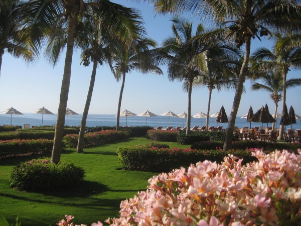Eco-Conscious, Marquis Los Cabos, desalinization plant, Nancy D. Brown