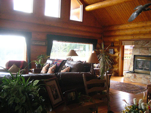 Dove Lodge Great Room