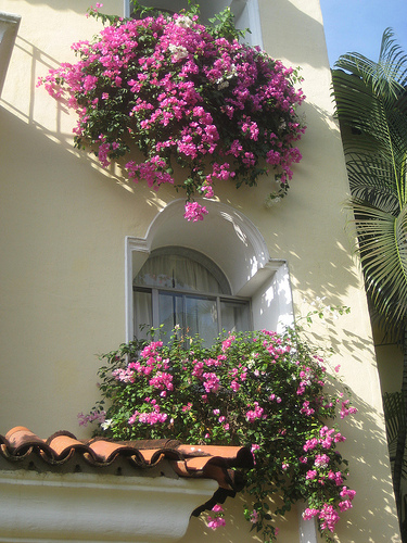 "Casa Velas Ventanas"