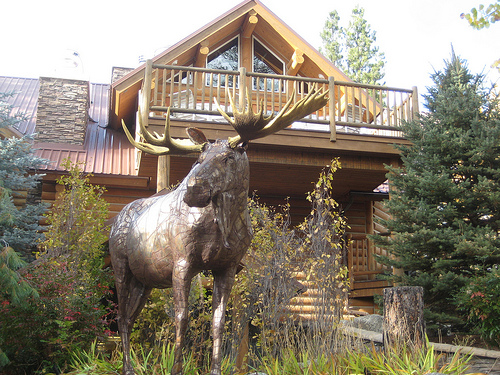 "Triple Creek Moose"