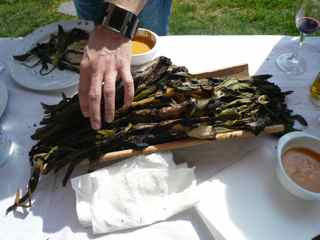 Delicious Calçots in Valls Delicious Calçots in Valls