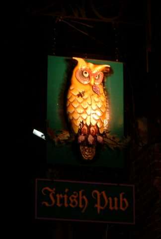Seattle’s Owl N’ Thistle Is A Hoot