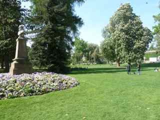 Take Your Market Buys to a Park for a Picnic