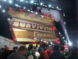 Survivor Survivor