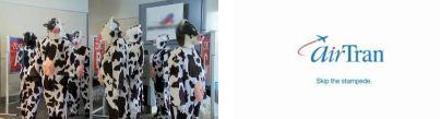 Airtran 'Skip the Stampede' video Airtran 'Skip the Stampede' video