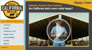 Happy Cows California