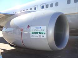 Aviation biofuel Aviation biofuel